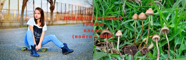 кокс Волосово