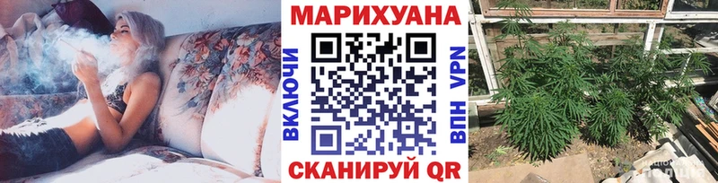 Шишки марихуана SATIVA & INDICA  продажа наркотиков  Астрахань 
